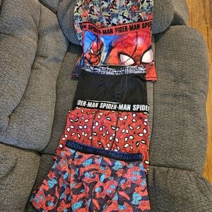 Fruit of the Loom Boy Spider-kid Boxer Briefs - Multicolor